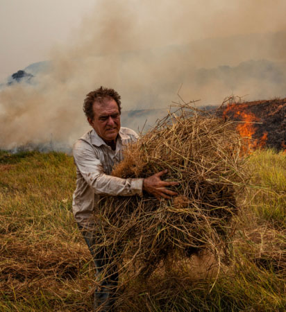 Homem tenta combater um incêndio no campo - Lalo de Almeida